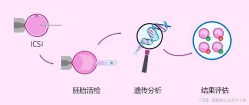 辅助生殖科普